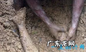 世界上最危险的地方 你敢去吗?