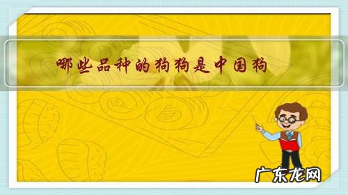 中国常见的狗有哪些品种 哪些品种的狗狗是中国狗?