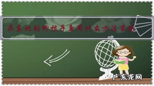 在东北钓柳根子鱼用什么方法最好?