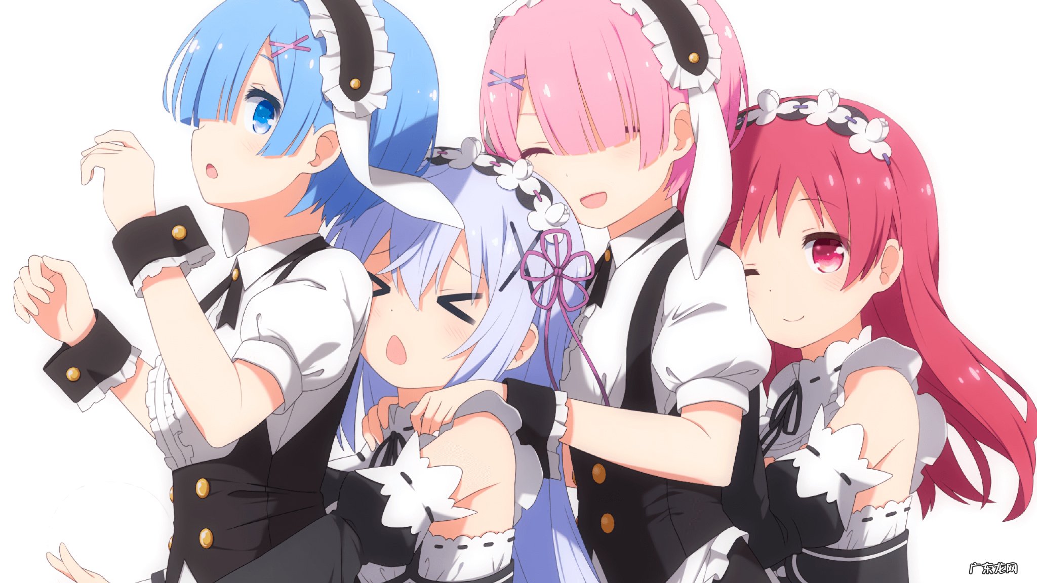 dryvent和hyvent面料有什么区别