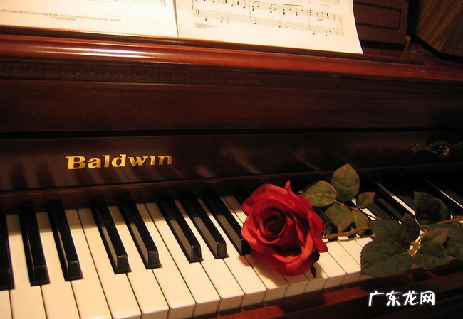 乐器难度排行榜 单簧管最难学