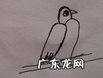 2怎么画小鸟 你学会了吗