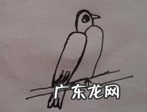 2怎么画小鸟 你学会了吗