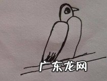 2怎么画小鸟 你学会了吗