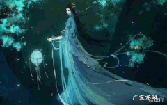 2019晋江高分完结言情文2019晋江完结好文推荐