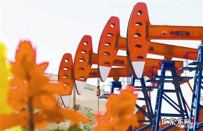 中国十大物流公司排名 顺丰速递仅排第三