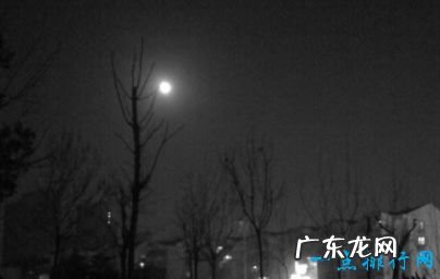 世界十大奇案 至今无人能解