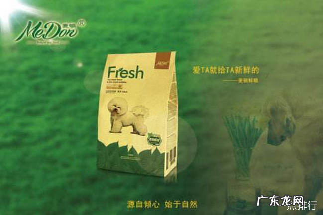 狗粮排行榜2019 哪个牌子狗粮实惠又好