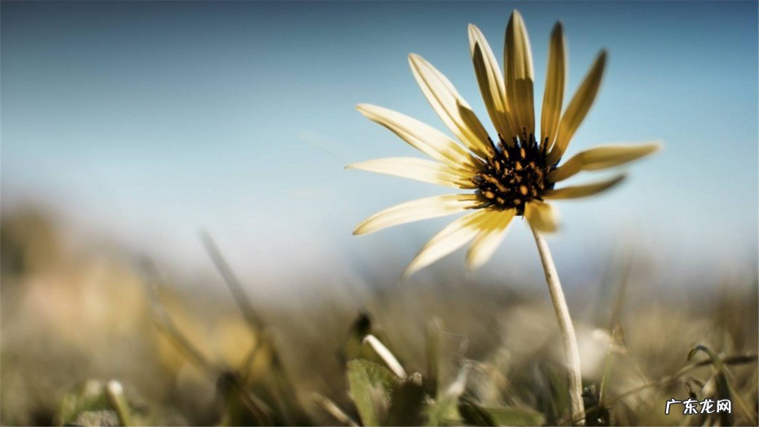 关于正能量的一段话