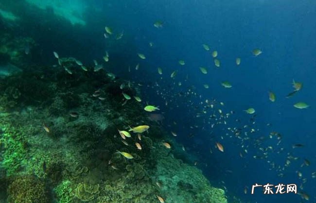 世界上最深的海沟 马里亚纳海沟被认为是地球表面最深处