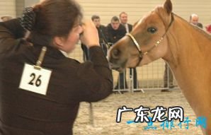 最小的生物 你知道吗