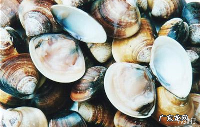 北海十大特产 北海特产有哪些