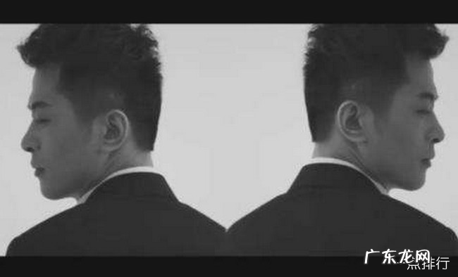 辛巴身价多少 辛有志身价全国排名