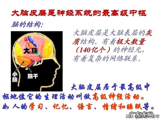 中医基础中,气是如何运动的,它有哪些分类