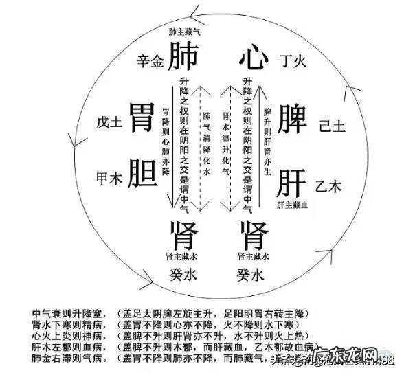 中医基础中,气是如何运动的,它有哪些分类