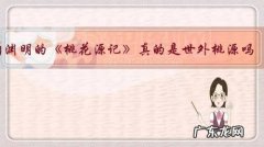 陶渊明的《桃花源记》真的是世外桃源吗？