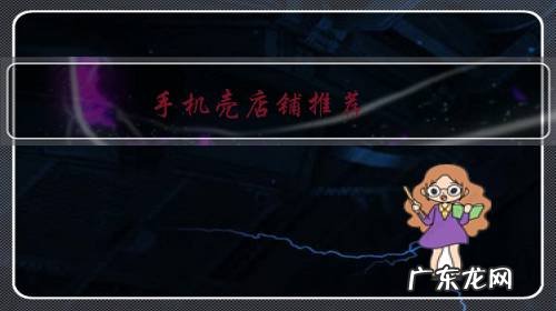 苹果手机壳店铺推荐 手机壳店铺推荐?