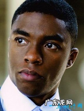 好莱坞最受欢迎的黑人演员排行榜前十 居然没有摩根弗里曼