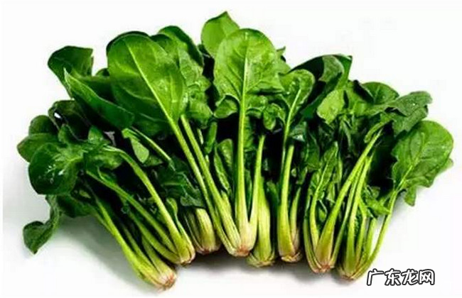 补锌的食物有哪些 十大补锌食物排行榜