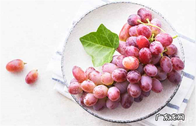 十大葡萄品种大全 中国最好吃的葡萄排名