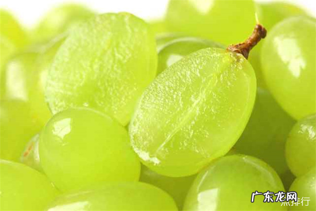 十大葡萄品种大全 中国最好吃的葡萄排名