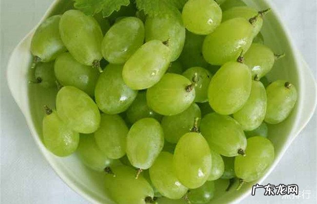 十大葡萄品种大全 中国最好吃的葡萄排名