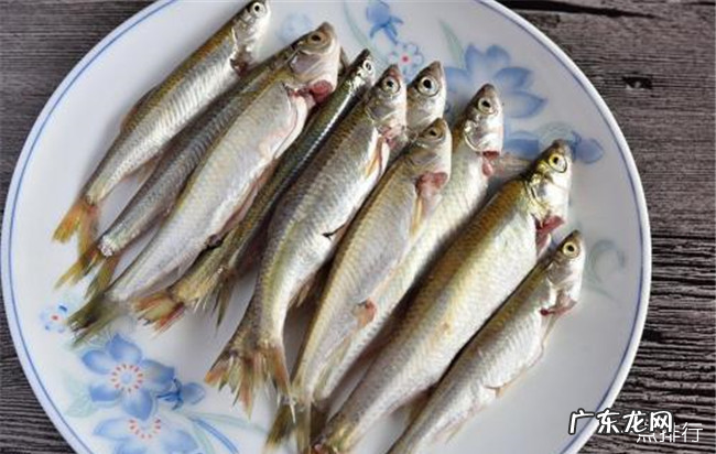 免疫力低吃什么好 十大增强免疫力食物排行榜