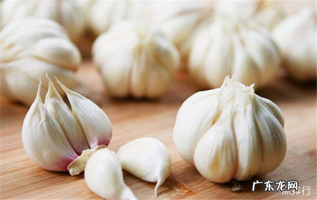 免疫力低吃什么好 十大增强免疫力食物排行榜