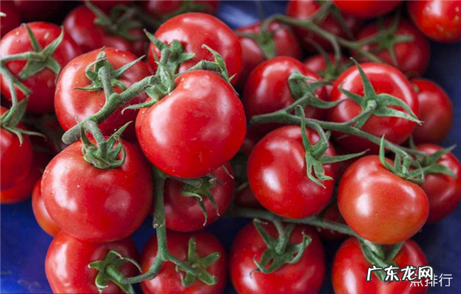 免疫力低吃什么好 十大增强免疫力食物排行榜