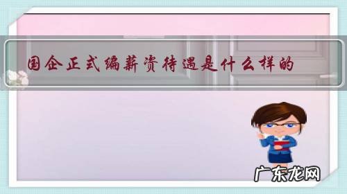 国企正式编薪资待遇是什么样的