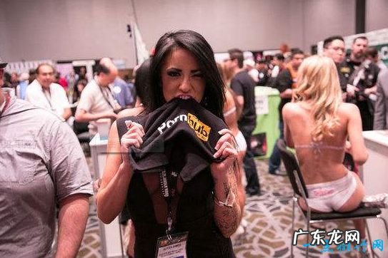 世界最大Sex网站，全球网站点击量第三十位