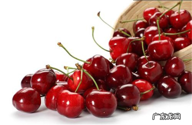 夏天吃什么水果好 夏天最适合吃的十种水果