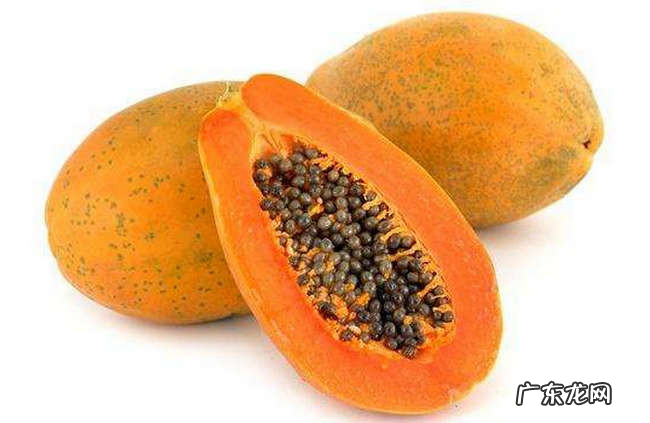 夏天吃什么水果好 夏天最适合吃的十种水果