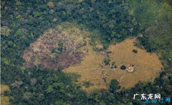 世界上最大的平原 560万平方公里的亚马孙平原