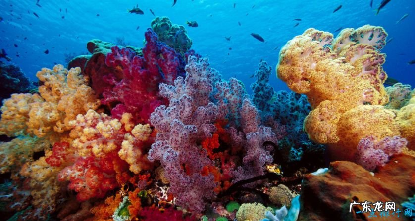 世界十大自然奇观 大自然创造的迷人风景