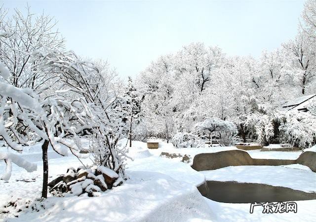 春天下雪什么兆头