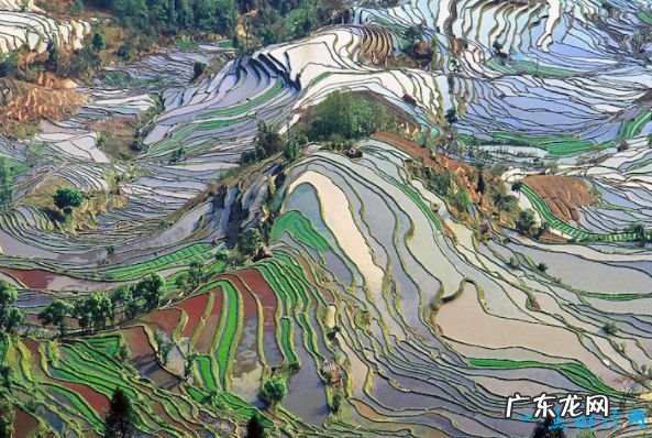 十一国内旅游景点排行 十一国内旅游推荐