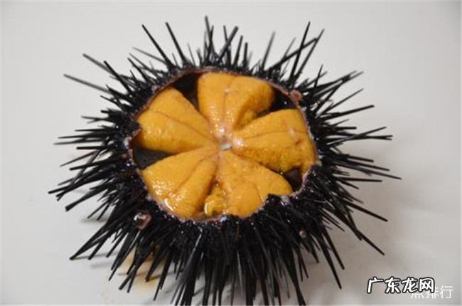 大连十大特产 大连特产适合送朋友的