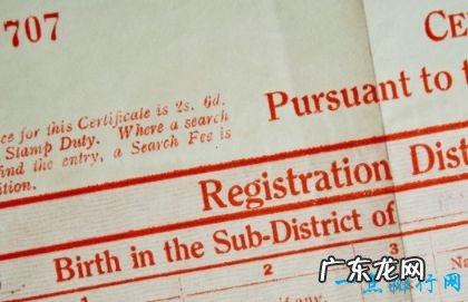 世界上最傻逼的人 啼笑皆非的贼