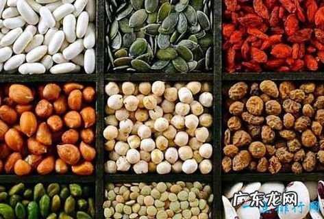 低脂肪 十大富含蛋白质的食物植物蛋白食物