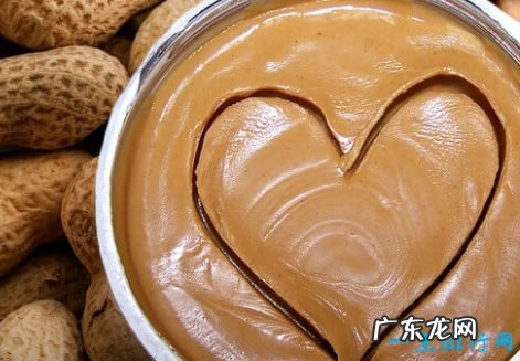 低脂肪 十大富含蛋白质的食物植物蛋白食物