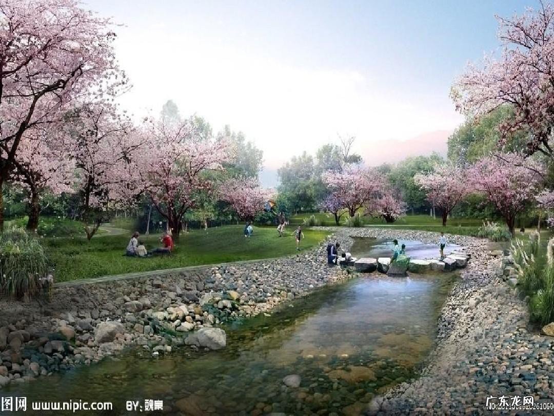 三月桃花水主要描写桃花水的什么