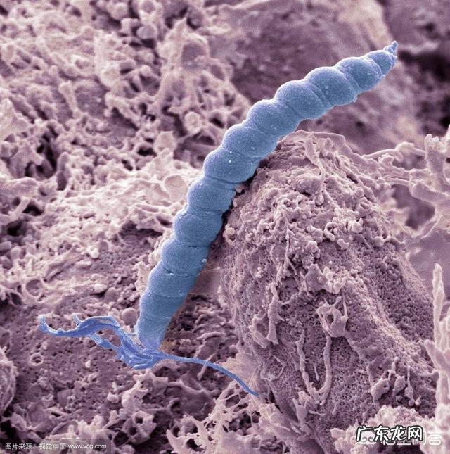 肥胖是慢病之源,那它会给人体健康带来哪些危害