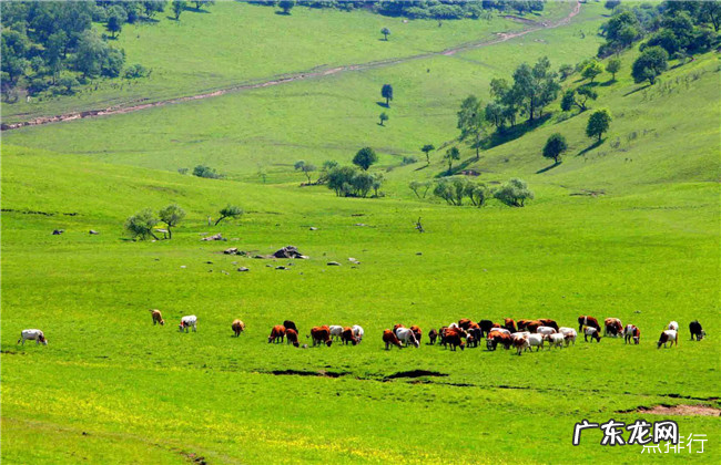 宝鸡十大景点排行榜 宝鸡最值得去的景点推荐