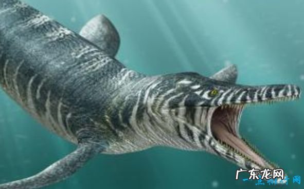史前十大海洋霸主 巨齿鲨被称为“地球史上最强悍的生物”