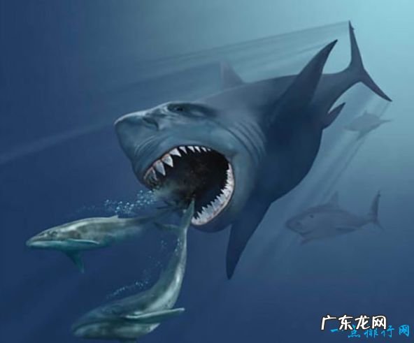 史前十大海洋霸主 巨齿鲨被称为“地球史上最强悍的生物”