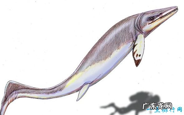 史前十大海洋霸主 巨齿鲨被称为“地球史上最强悍的生物”