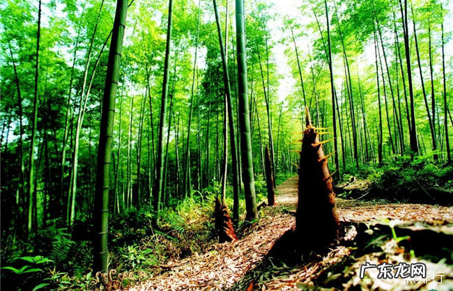 湖州十大景点排行榜 湖州一日游必去景点推荐