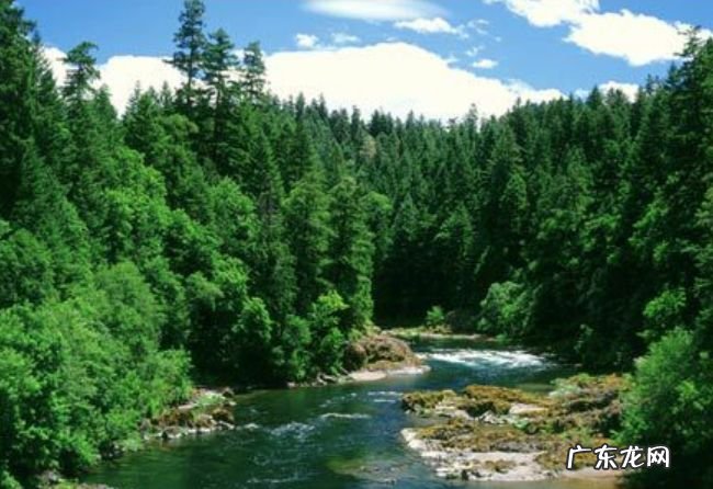 全球三大生态系统 排在第一的是海洋