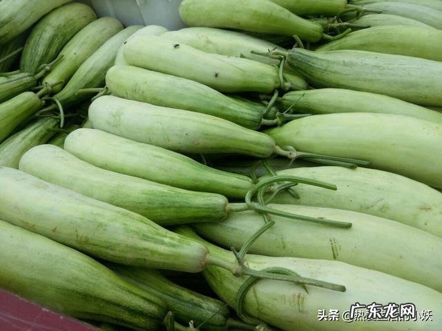 羊角蜜可以自己留种吗如何留